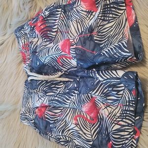 The Endless Summer Swim Trunks Size 12